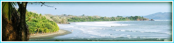 Surfing In Panama