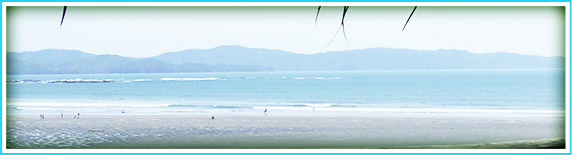 Surfing In Santa Catalina
